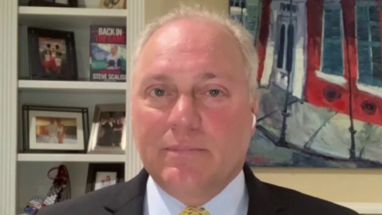 Left-wing policies are 'destroying the fabric of America': Scalise