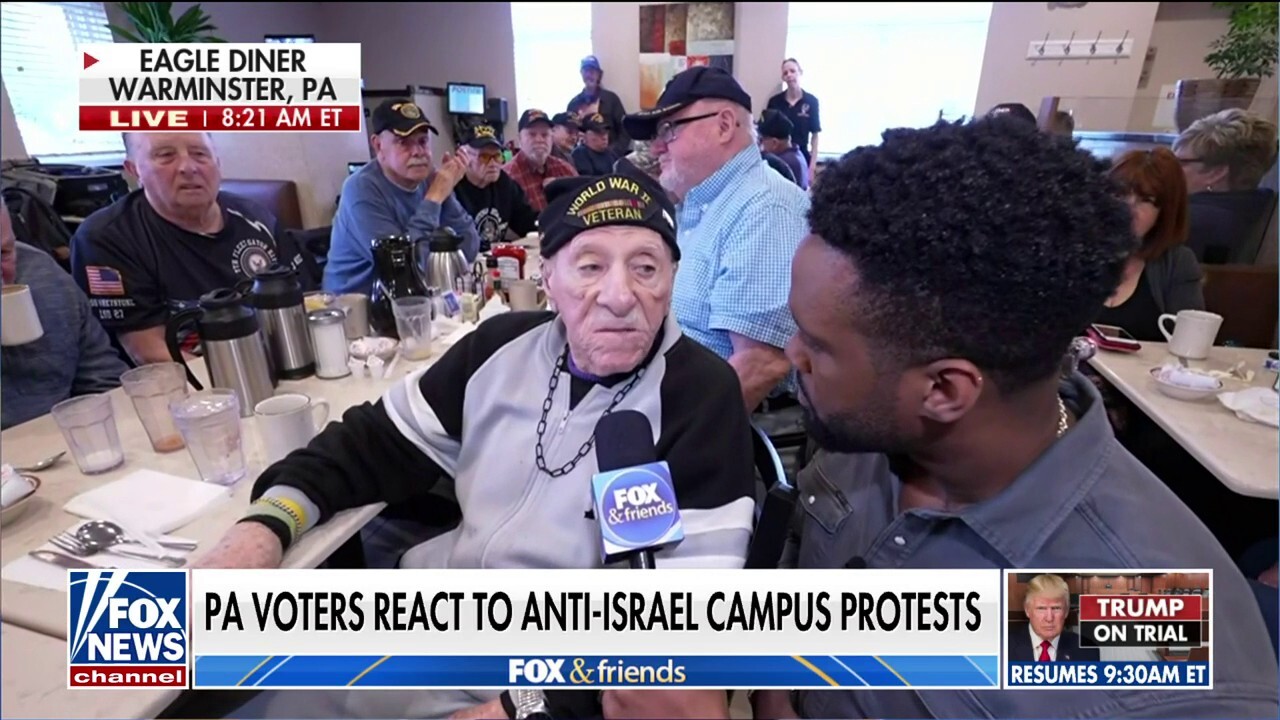 Veterans slam protests from anti-Israel ‘terrorists’: ‘A disgrace to the US’