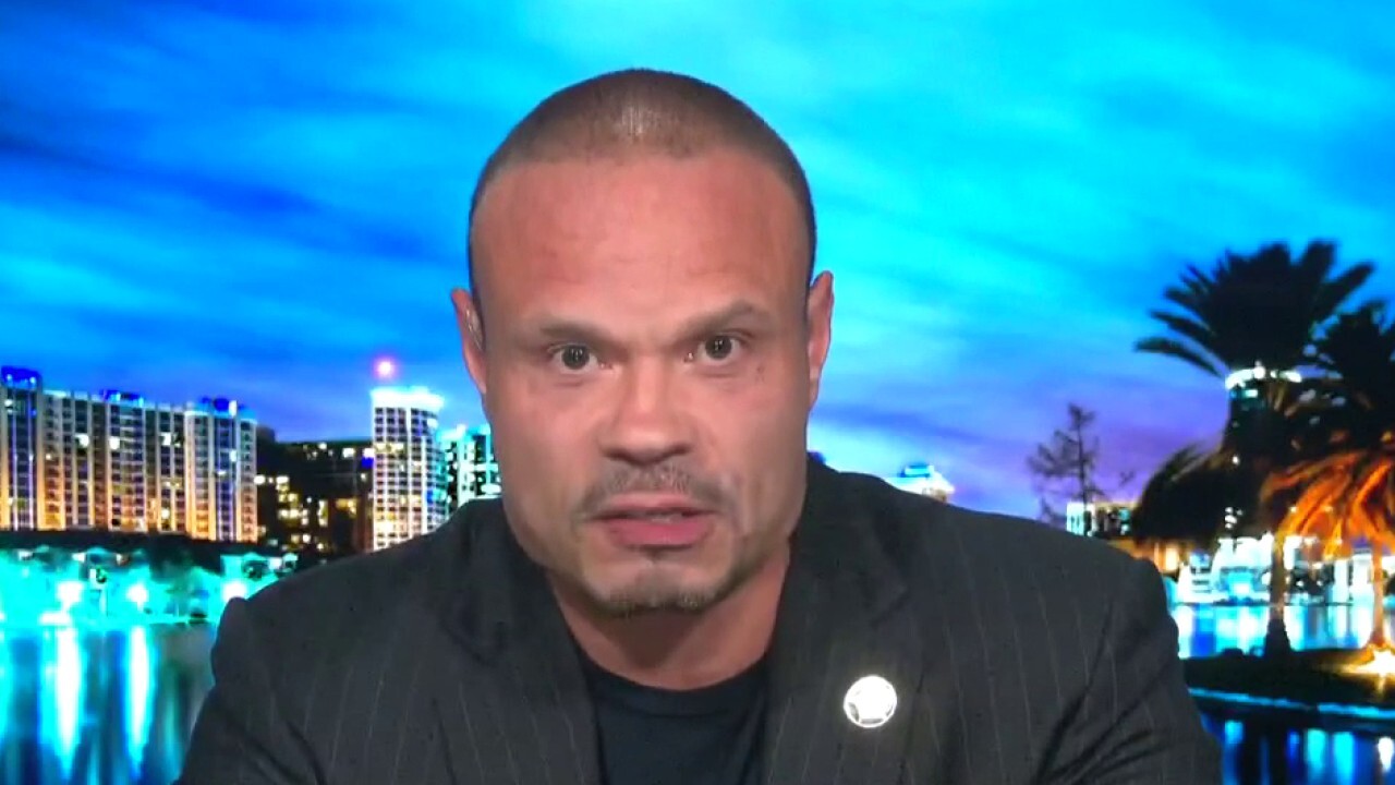 Dan Bongino 3 things contributing to street violence across America