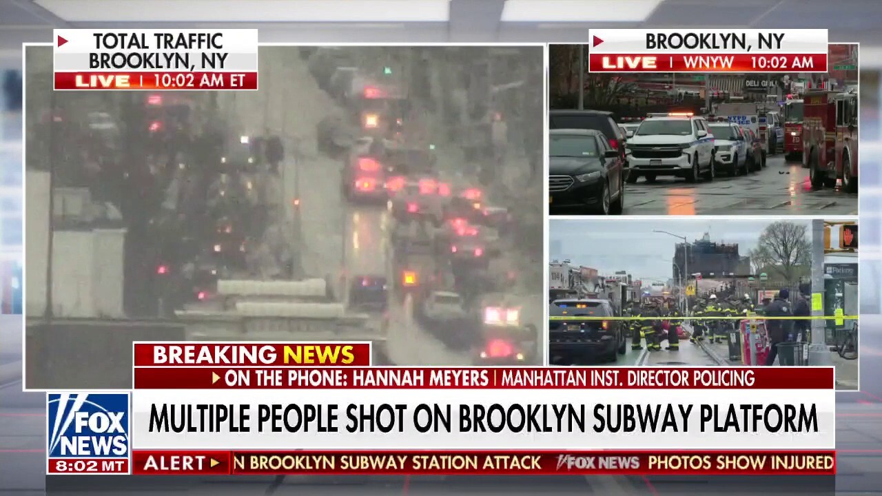 Brooklyn shooting perpetrator seemingly 'intended to cause terror': Hannah Meyers