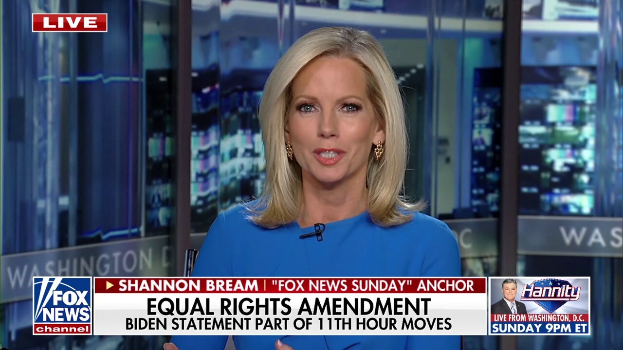  There are real concerns about how stored TikTok data may be used, Shannon Bream explains