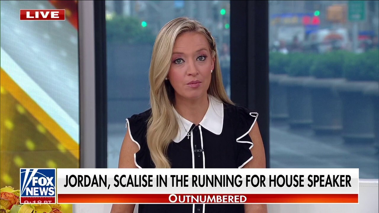 Kayleigh McEnany: House Republicans have to be unified