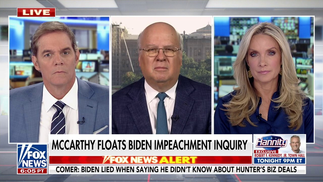 Karl Rove: Clearly there's something 'sleazy' going on with the Bidens