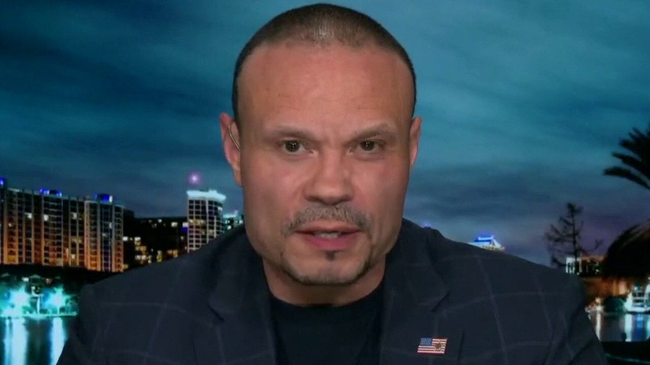 Dan Bongino: Serious question, why do liberals live in an alternate universe?