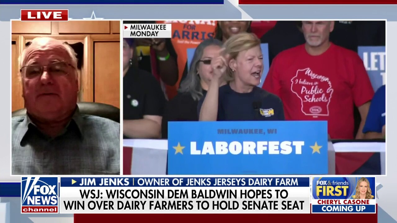 Wisconsin Democrat Tammy Baldwin called out for 'extremely unappealing' plea for dairy farmer support