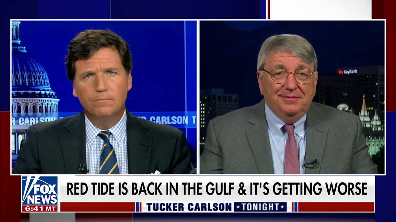 Ethnobotanist Paul Alan Cox explains how cyanobacteria tides in the Gulf can impact fish and humans on 'Tucker Carlson Tonight.'