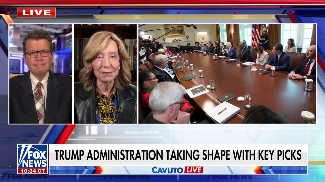 Trump Cabinet takes shape: Historian reacts to key picks