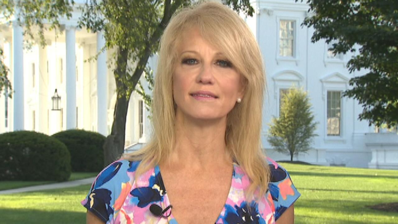 Kellyanne Conway questions why Democrats are 'afraid' to put citizenship question on US census