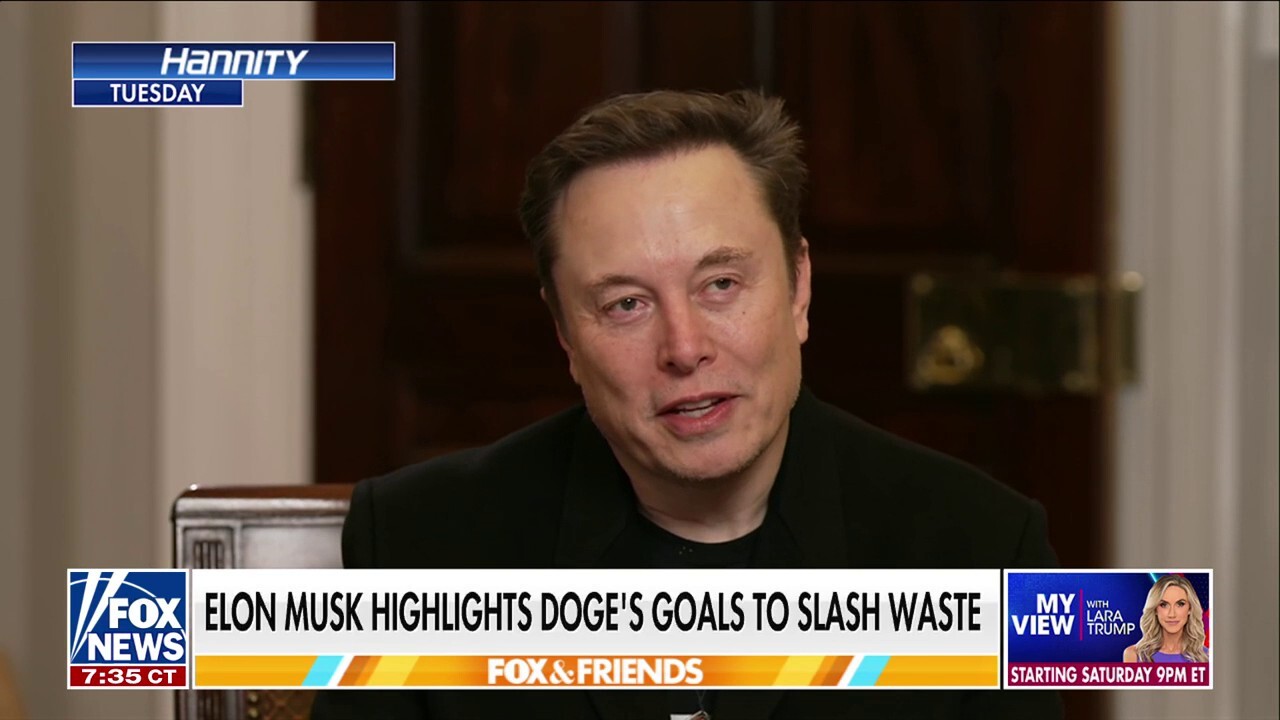 Elon Musk responds to attacks from the left: 'What they are doing is unconstitutional'