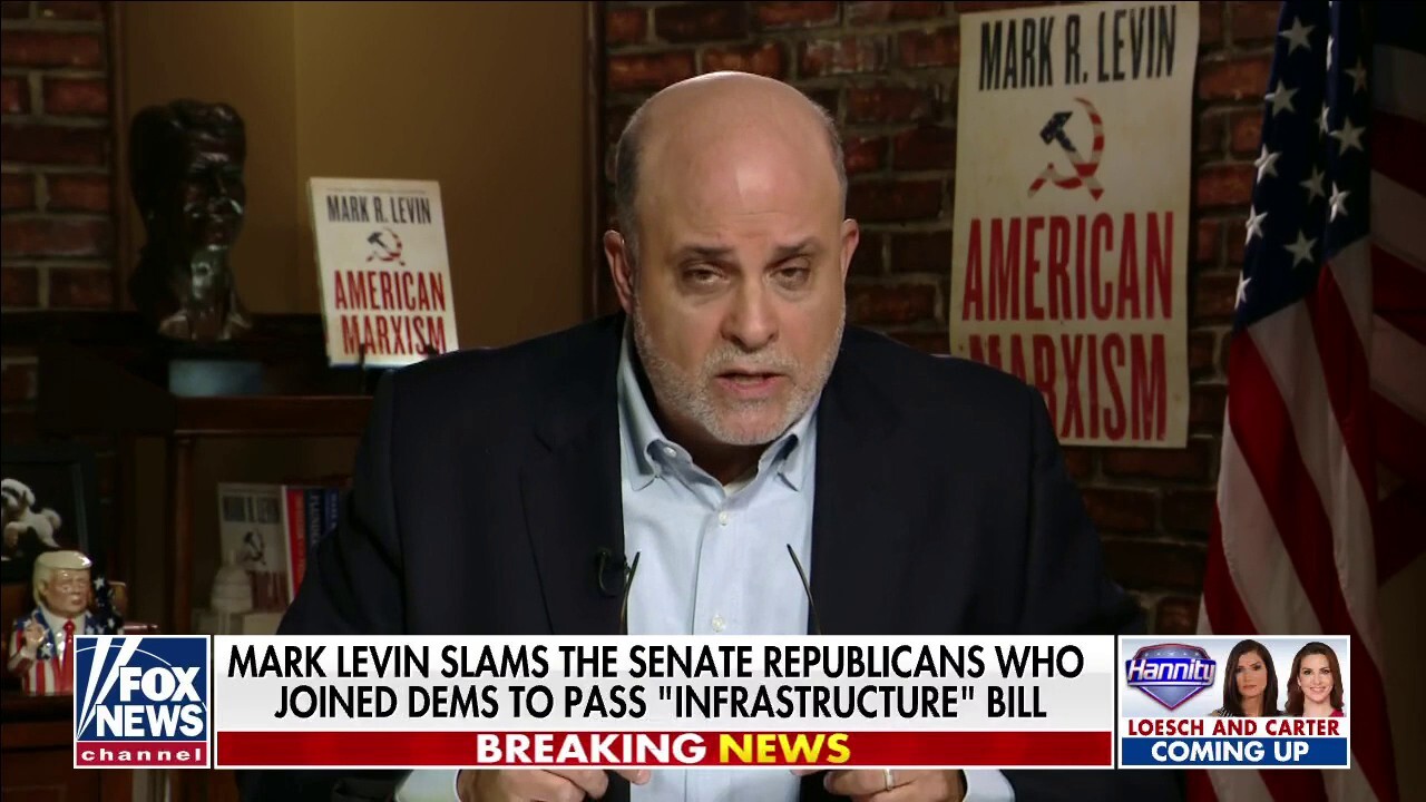 Levin: Senators who supported infrastructure bill are 'Madoffs' of Republican Party