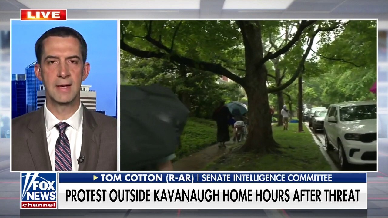 Tom Cotton: The reason migrant caravans keep coming is because Biden invited them