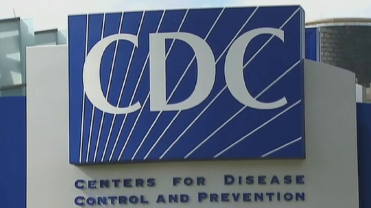 New COVID case rates surge as deaths rise at much slower rate Fox News Video