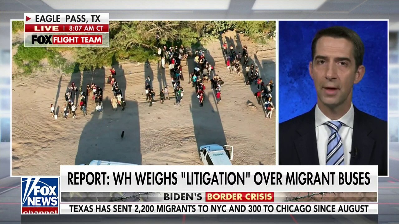 Sen. Tom Cotton: 'Joe Biden has presided over a slow-motion invasion of our country'