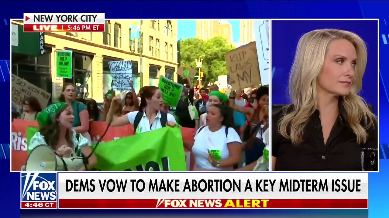 Republicans get to vote after abortion decision too: Perino