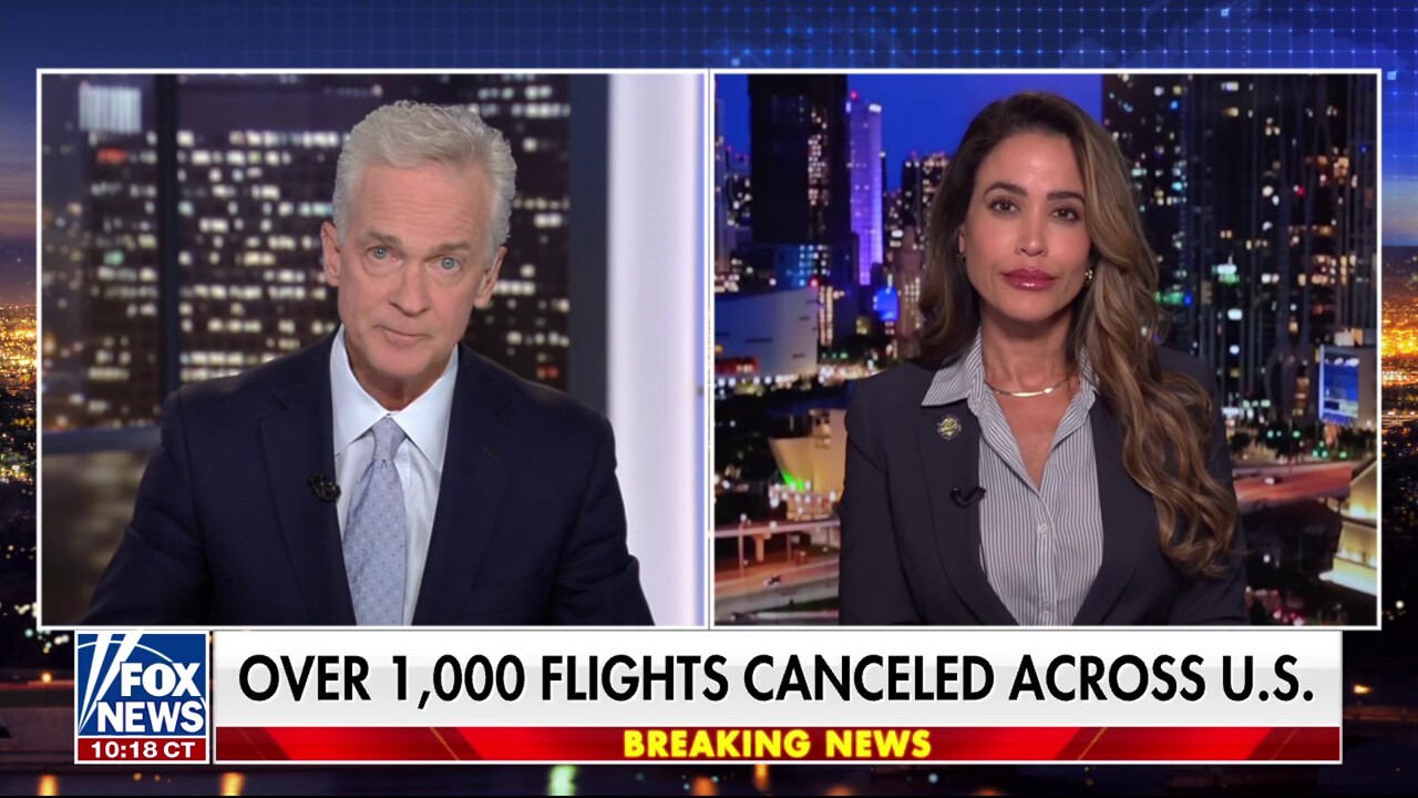 Miami-Dade County Commissioner Danielle Cohen Higgins joins ‘Fox News @ Night’ to discuss the impact the flight reduction will have on the area’s economy.