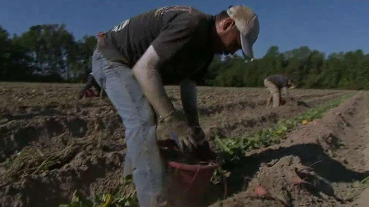 'The Deciders': Trump, a N.C farm and migrant workers