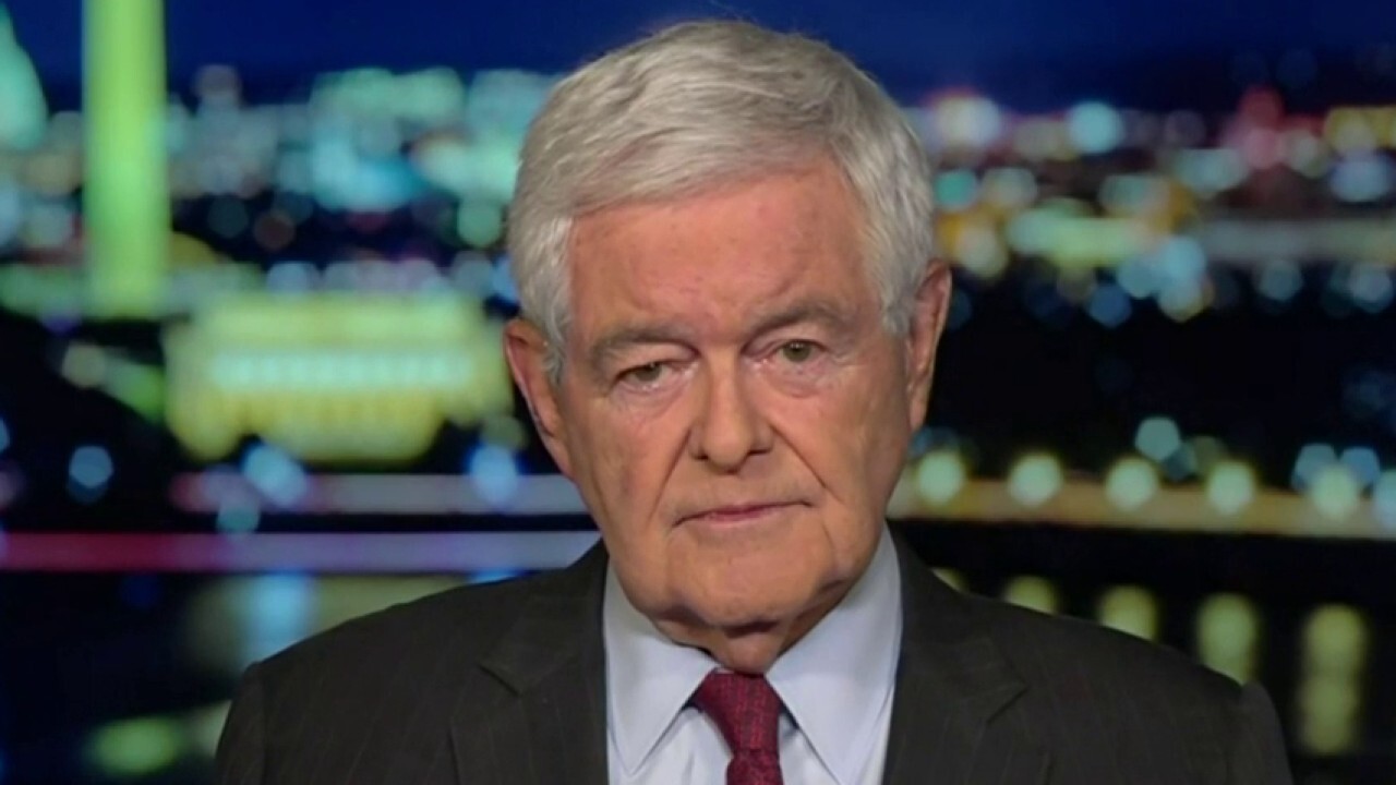 Newt Gingrich: This is a great act of hypocrisy