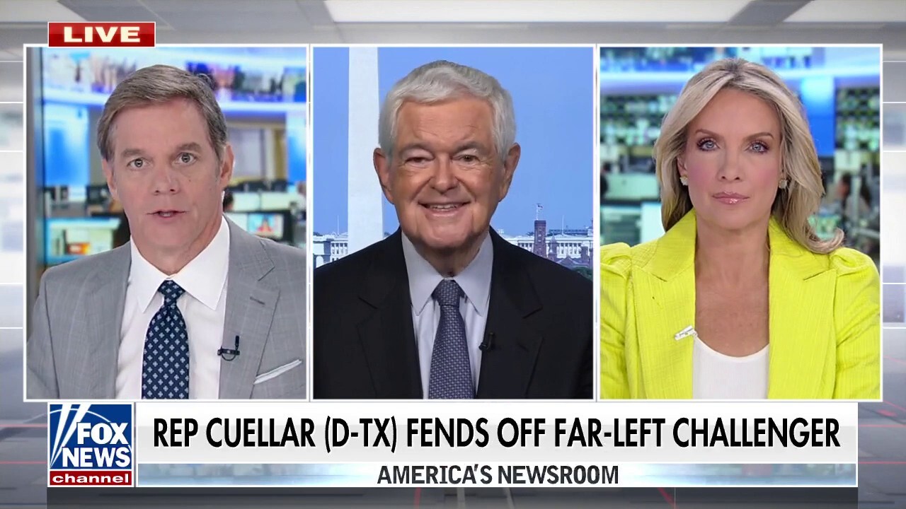 Gingrich predicts Republicans will take control of Congress if various crises continue