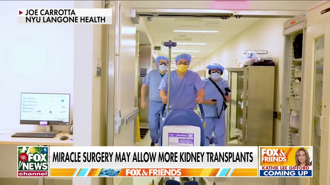 Miracle surgery using animal organs may allow more kidney transplants 