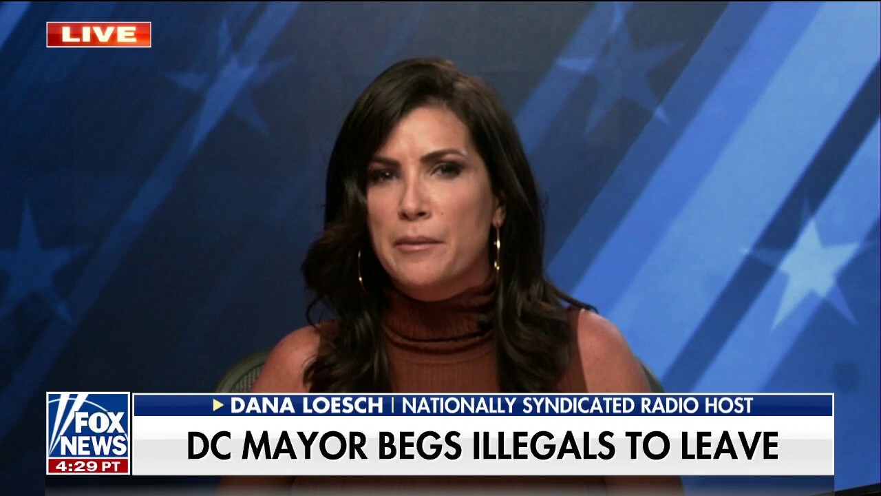 Dana Loesch: Immigrants are 'tricked' by Democrats when they enter America