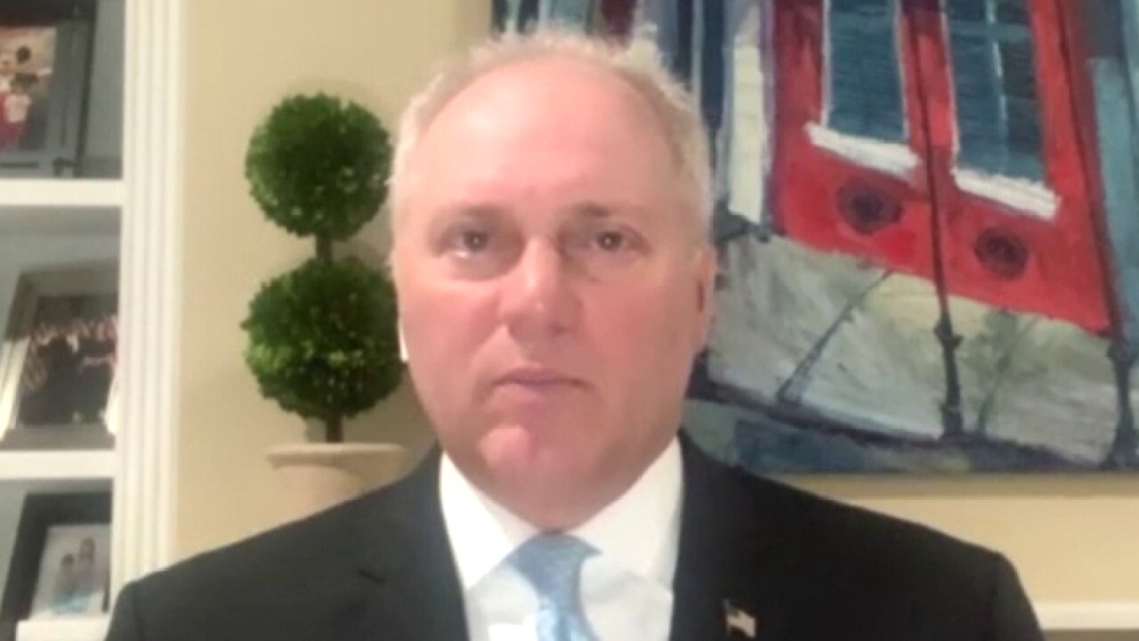 Rep. Scalise on flooding from Cristobal in Louisiana, Democrats' sweeping police reform bill in DC