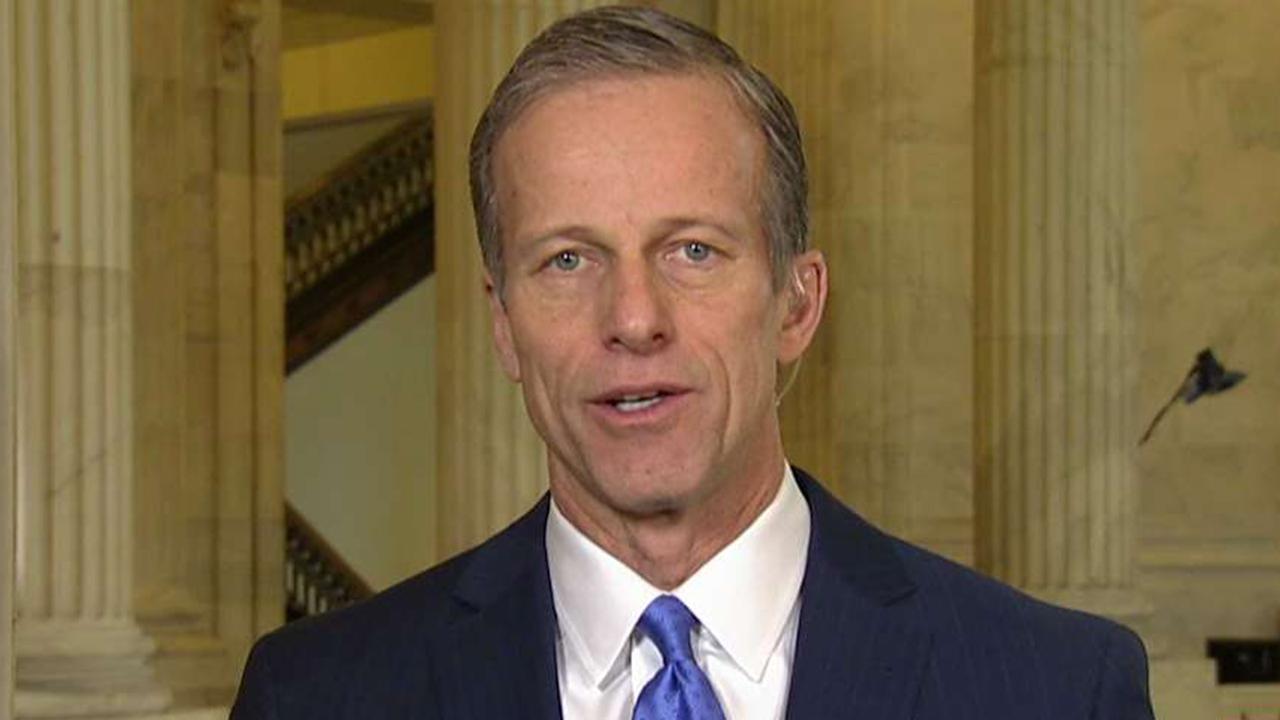 Thune: Dems on House Intel Committee acting in partisan way