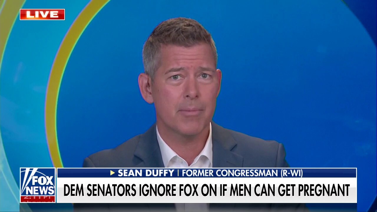Sean Duffy: The Democrat Party is all about lying to the American people