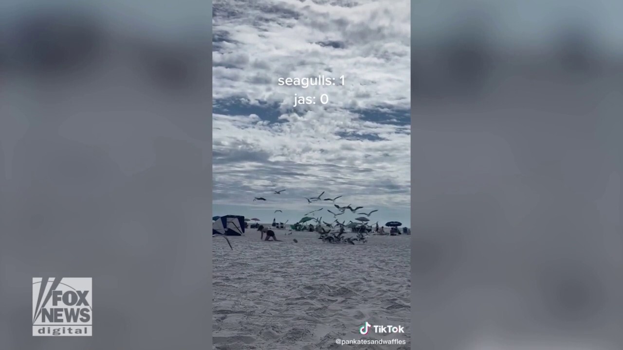 Florida woman swarmed by seagulls while on the beach