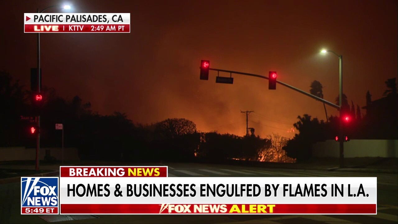 Los Angeles homes, businesses destroyed in wildfires 