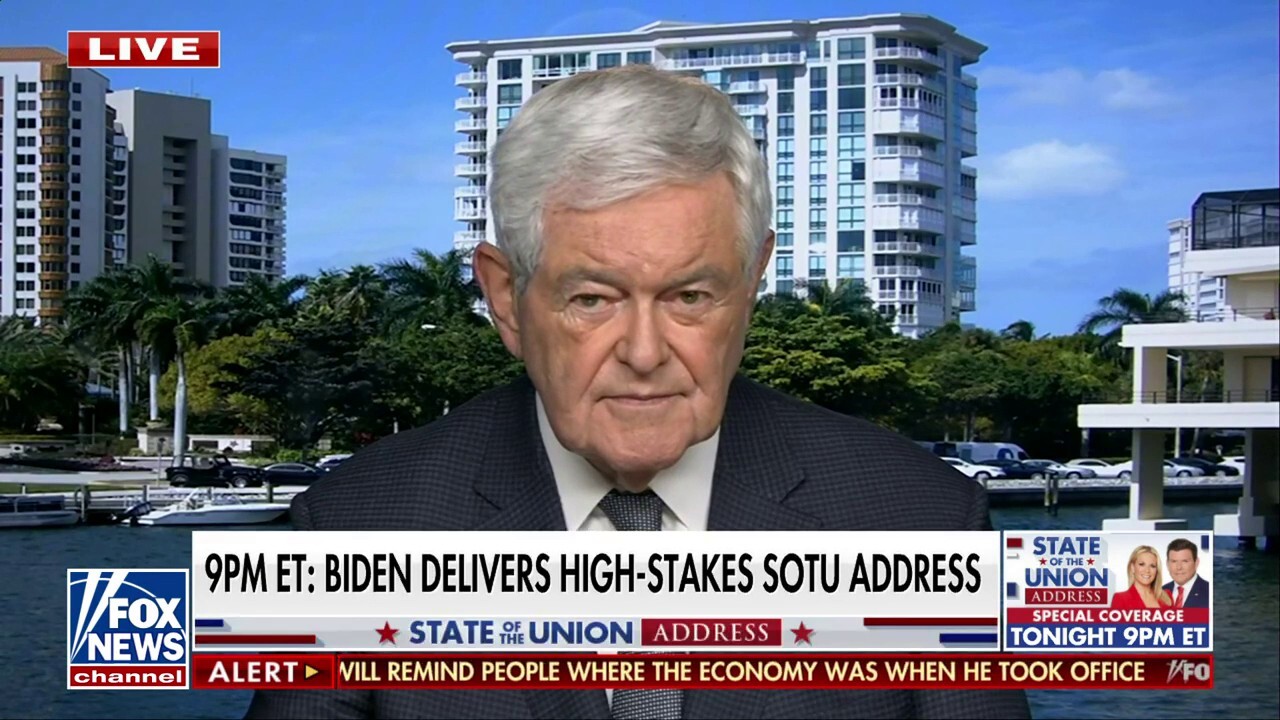The left can’t say enough ‘anti-MAGA’ things: Newt Gingrich