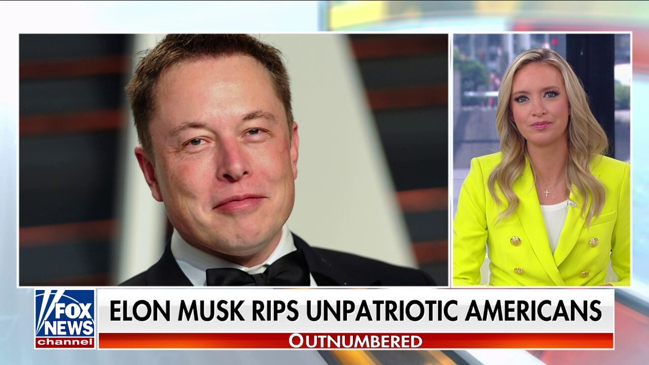 Elon Musk shreds 'anti-American self-destructive' sentiment: 'This is insane'