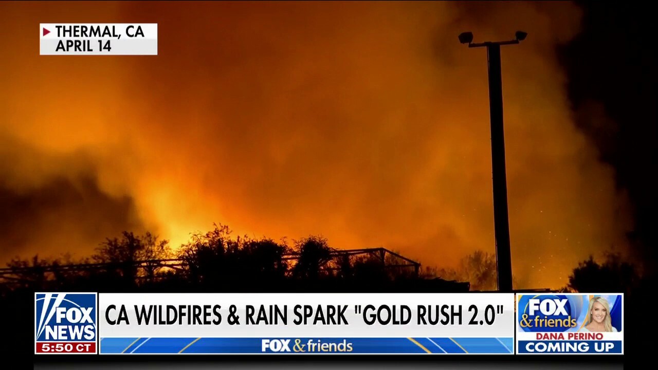 California treasure hunters find gold nuggets in soil amid wildfires