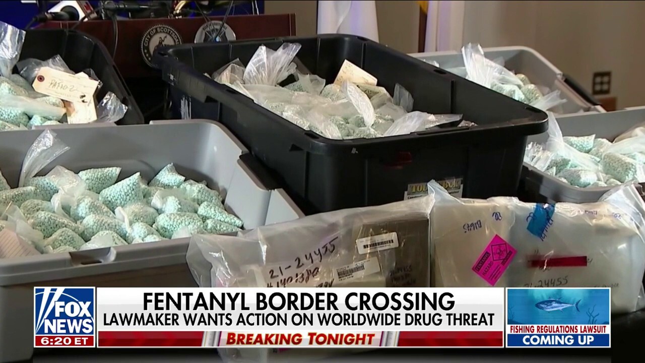 US lawmakers urge Biden administration to take stronger action to curb fentanyl crisis