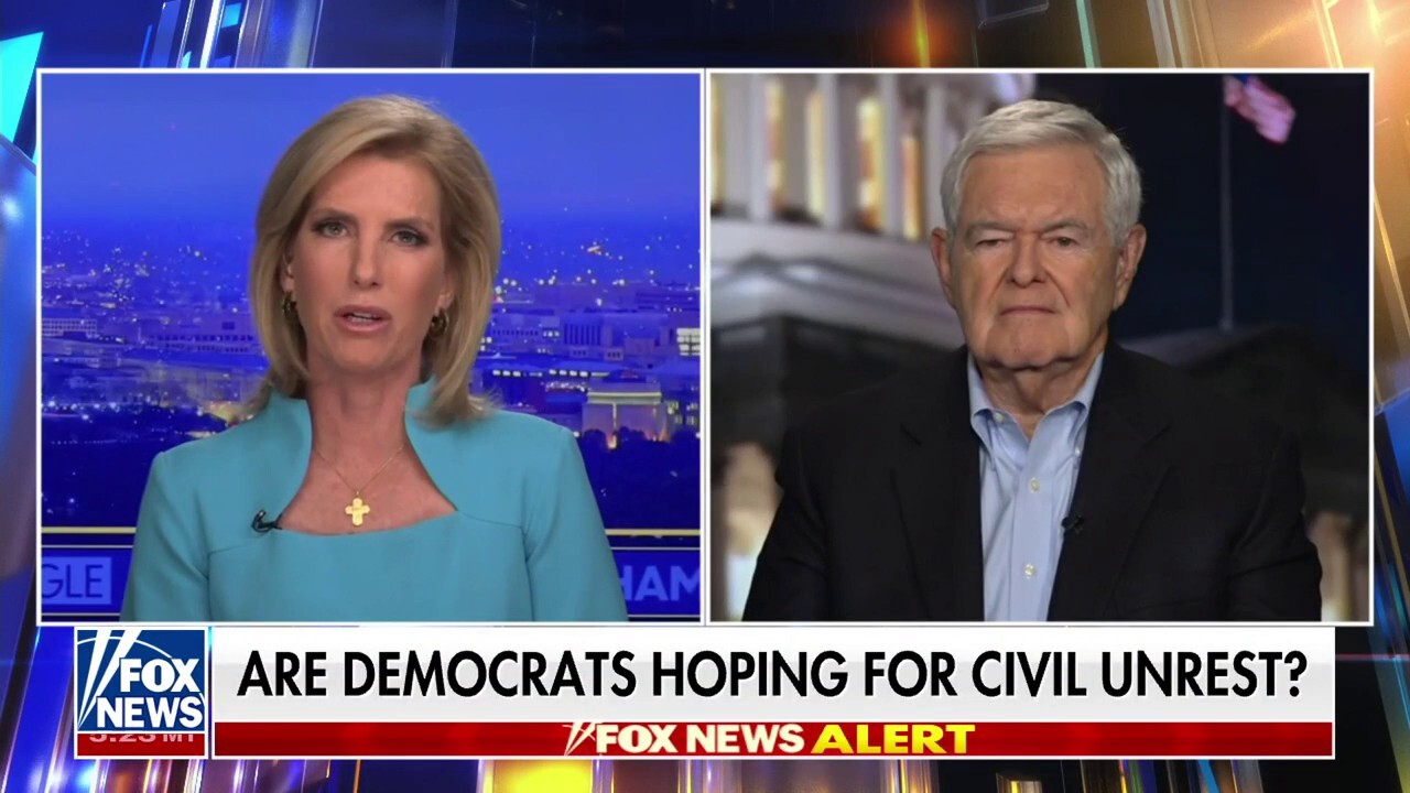 Newt Gingrich: What you now have is basically a fascist Democratic Party