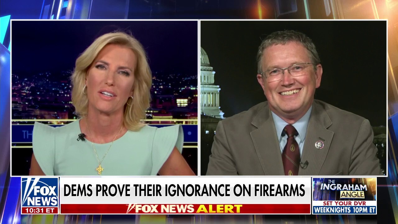 Dems over-legislating out of their own ignorance on guns: Rep Thomas Massie