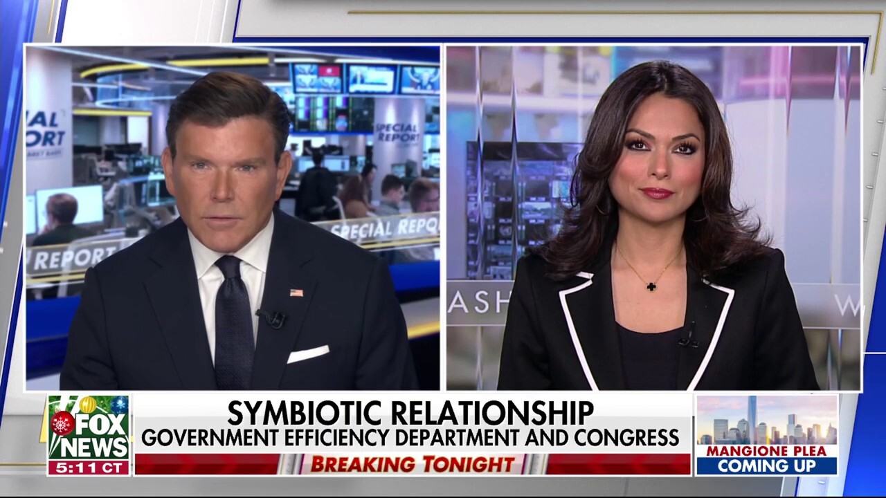 Fox News senior national correspondent Aishah Hasnie reports on some Democrats referring to Elon Musk as a ‘shadow president’ over political involvement on ‘Special Report.’