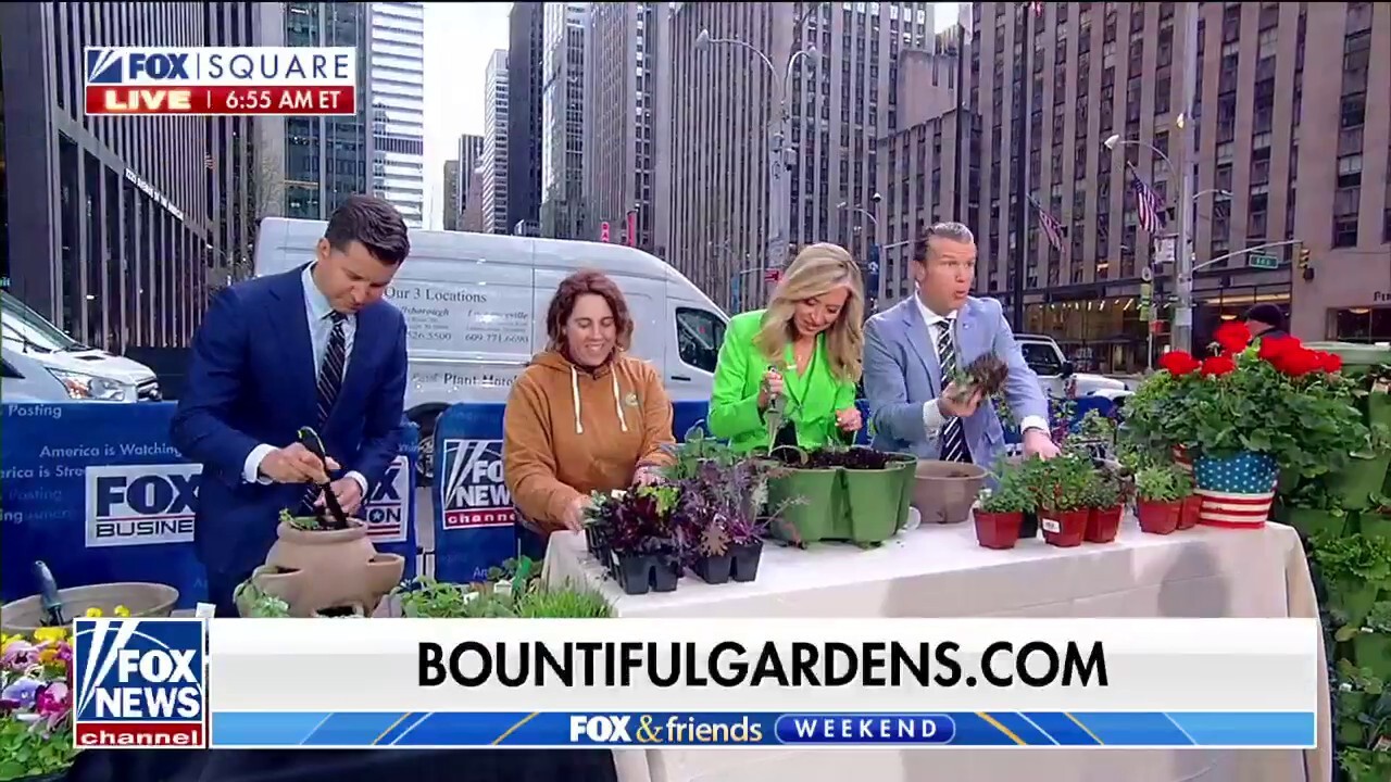 Bountiful Gardens owner Lisa Miccolis joins 'Fox & Friends Weekend' to explain the benefits and ease of vertical gardening and how to pick the best soil.