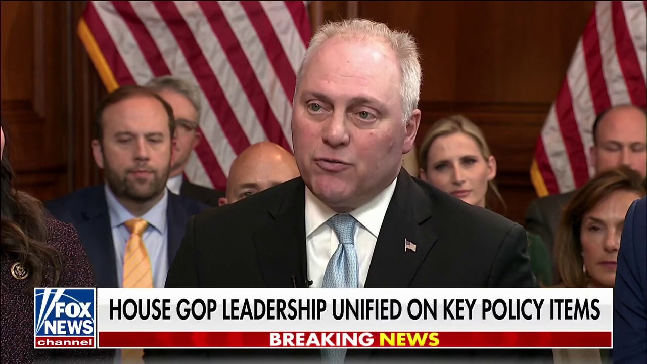 Families did not see Washington working for them: Rep. Steve Scalise