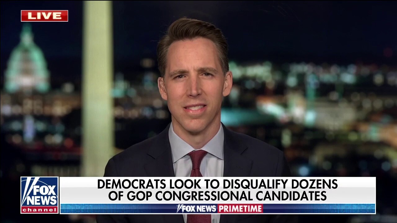 Democrats 'want a one-party state': Hawley