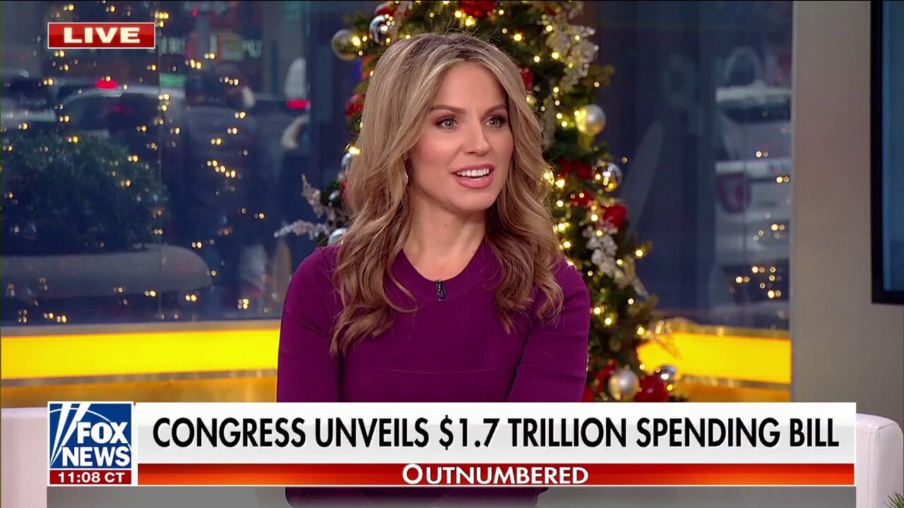 Dr. Nicole Saphier rips Dem's monster spending bill: 'Slap in the face'