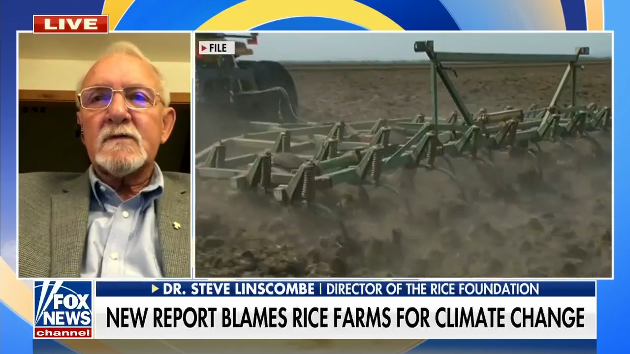 New report blames rice farms for climate change