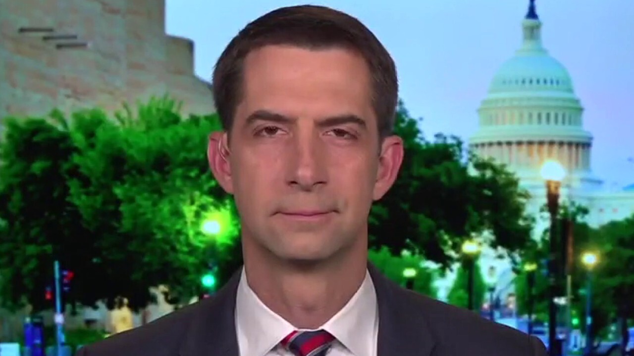 Tom Cotton: Democrats are going to pay a price for their policies