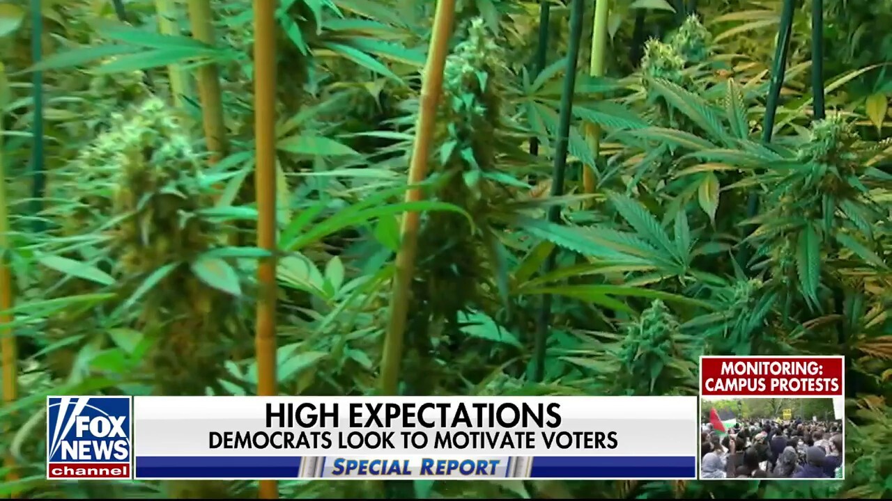 Fox News senior congressional correspondent Chad Pergram has the latest on the Biden administration's efforts to ease federal restrictions on marijuana use on 'Special Report.'
