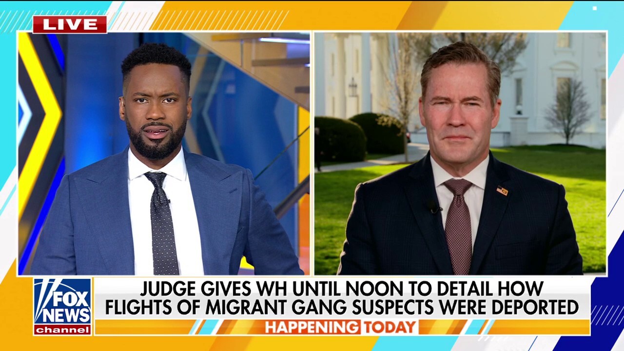 Deportation flights are 'squarely' under Trump's authority, says Michael Waltz