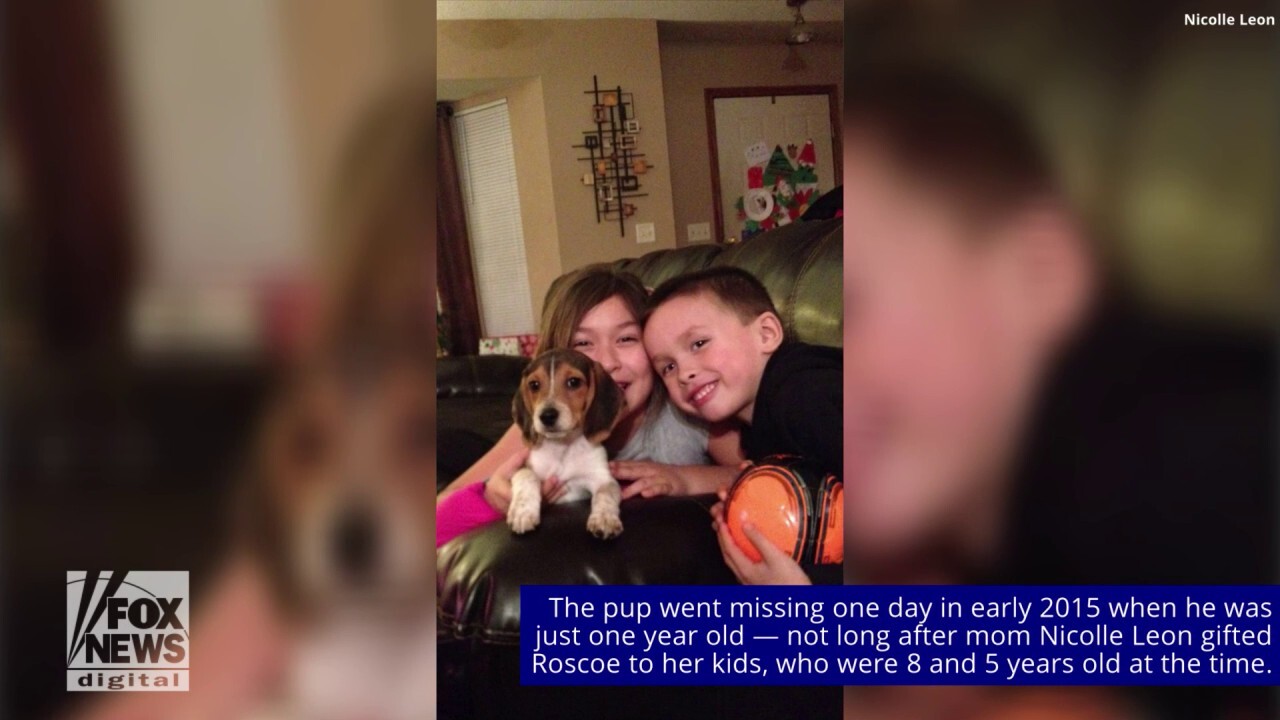 Kansas family's dog missing for 8 years is found 1K miles away in Idaho