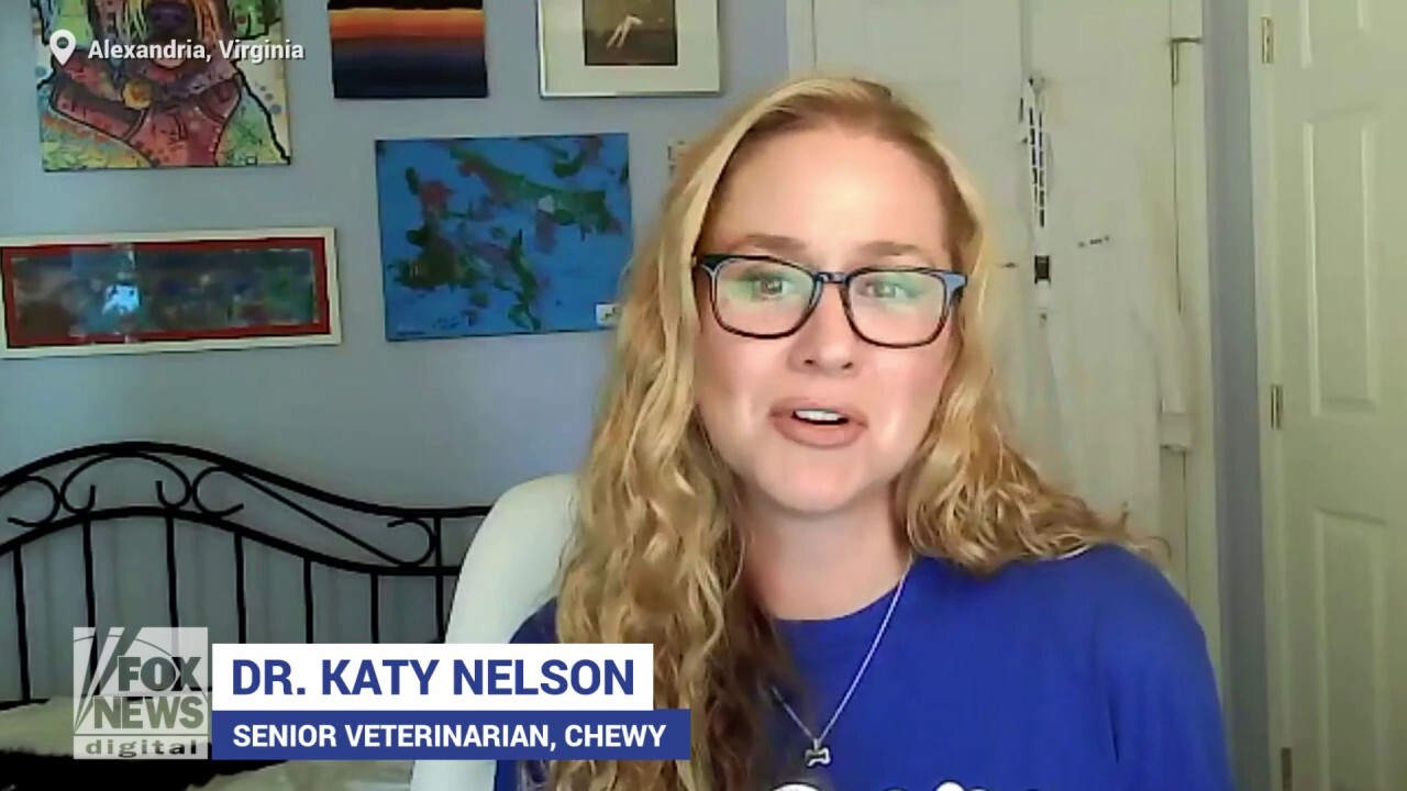 Dr. Katy Nelson says human food 'not necessary' for dogs
