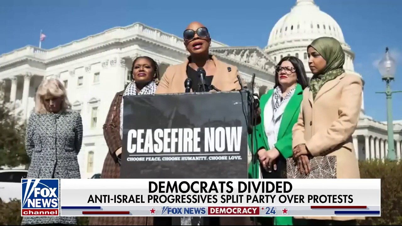 Fox News congressional correspondent Aishah Hasnie has the latest on the 'Little Gaza' demonstrations on college campuses across the United States on 'Special Report.' 