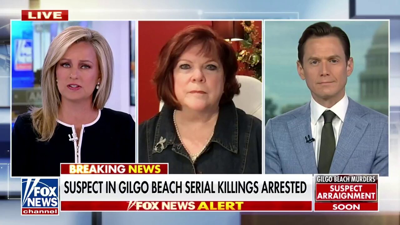 Mary Ellen O’Toole on Gilgo Beach killings suspect: Officials’ confidence suggests there is a DNA link