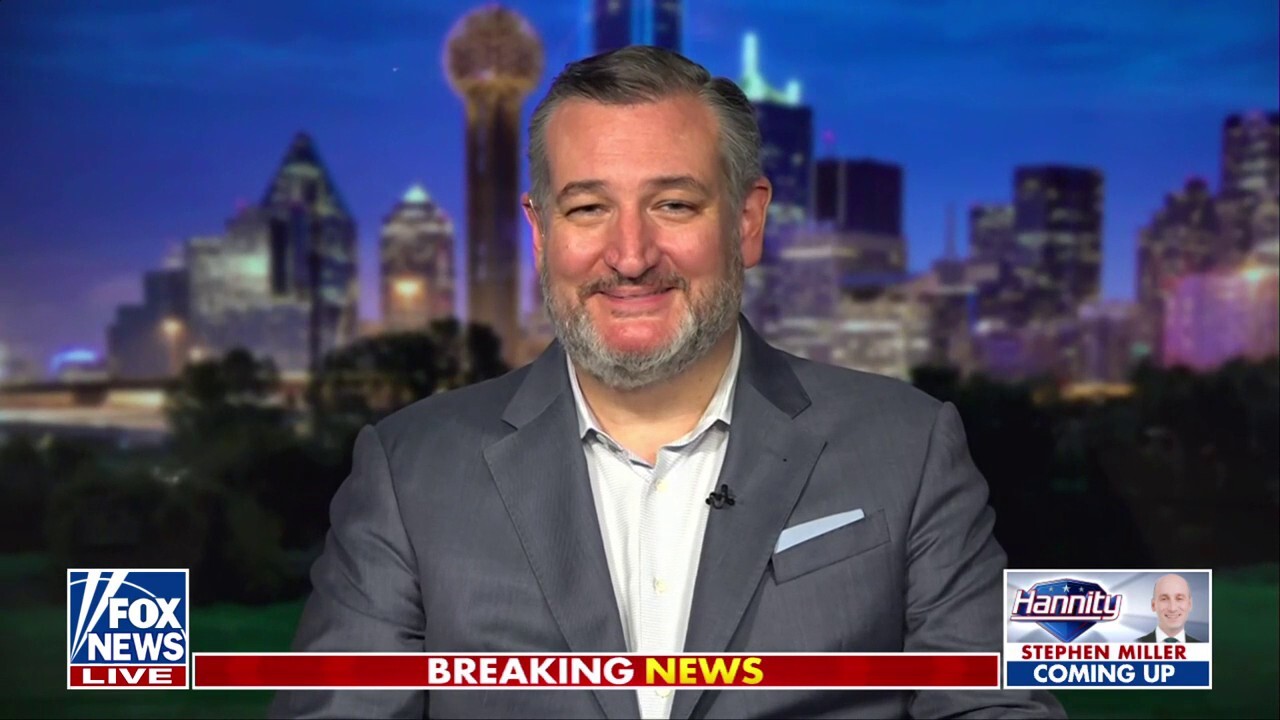 Sen. Ted Cruz, R-Texas, discusses how the left attacked Elon Musk for his DOGE efforts as the billionaire announces his time as a special government employee is coming to a close on ‘Hannity.’