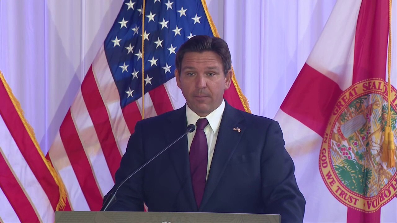  Florida's creating a 'DOGE task force,' DeSantis says